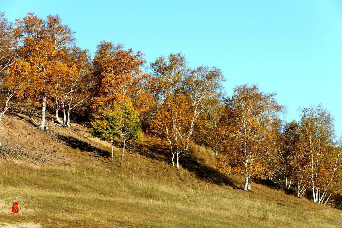 内蒙乌兰布统坝上盘龙大峡谷（二）