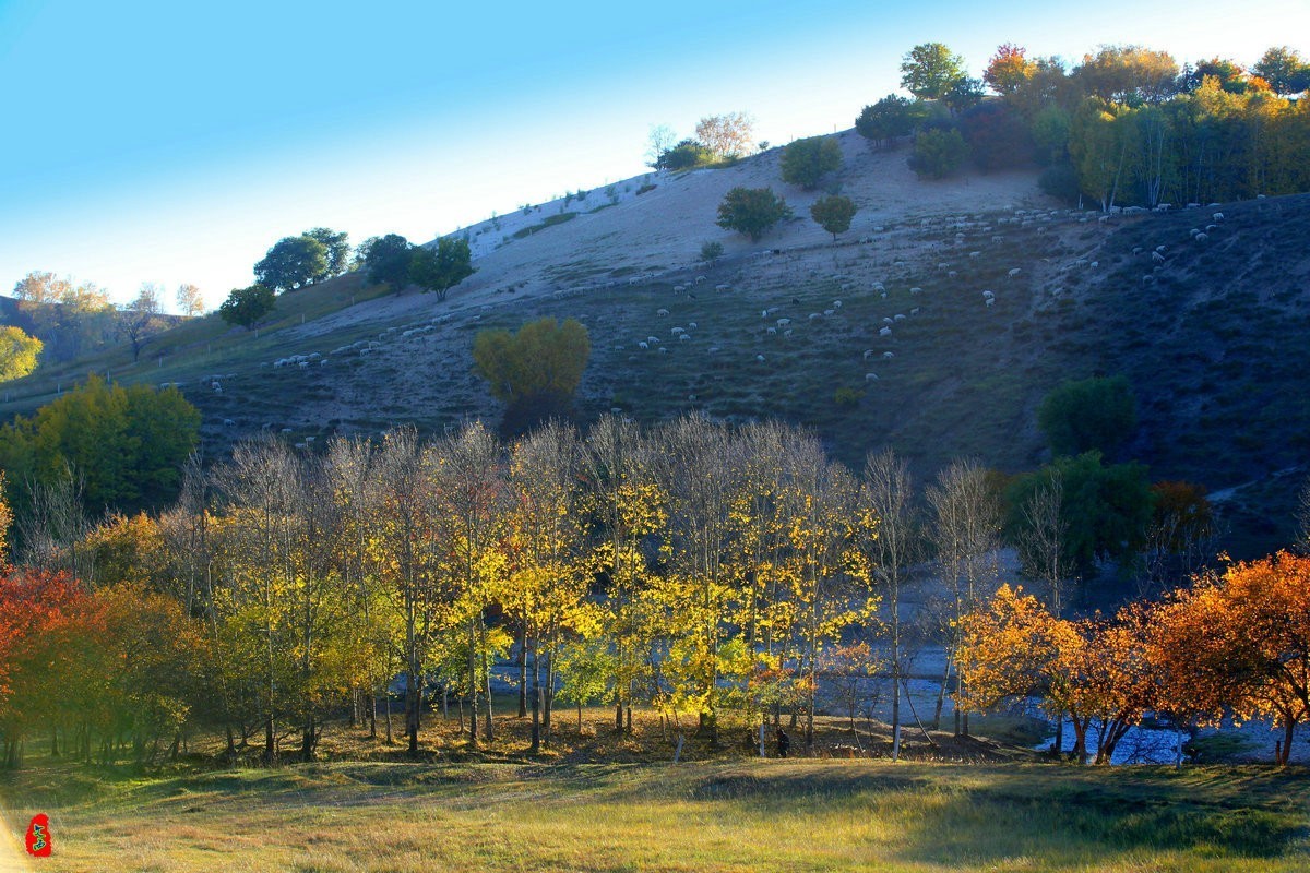 内蒙乌兰布统坝上盘龙大峡谷（二）