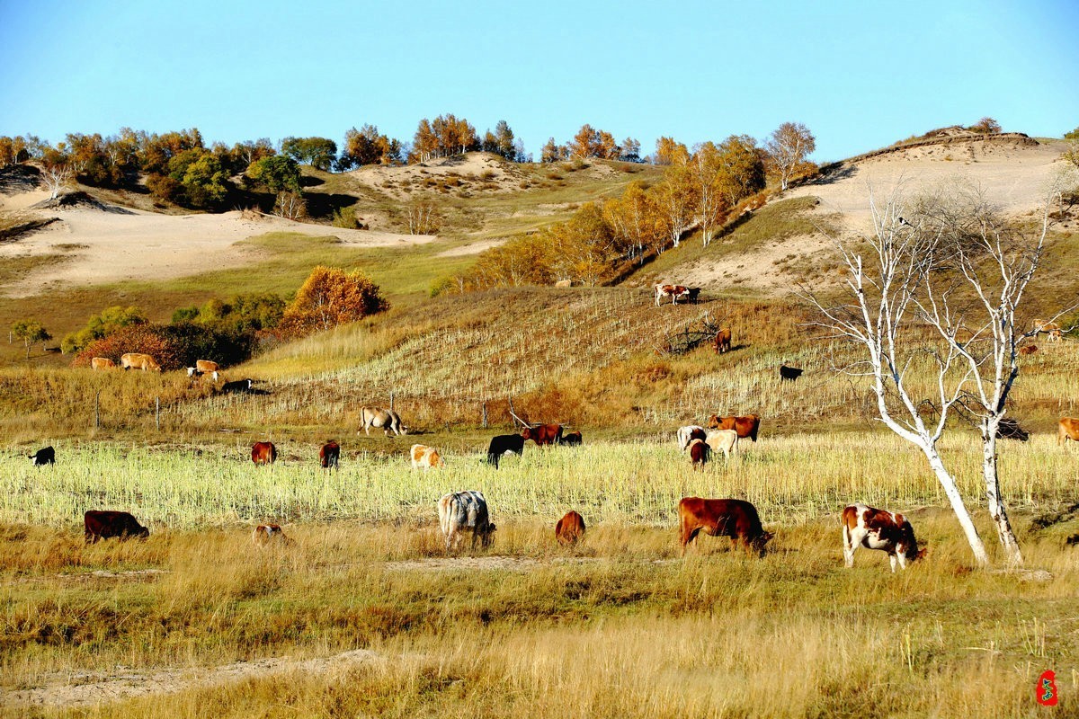 内蒙乌兰布统坝上盘龙大峡谷（二）