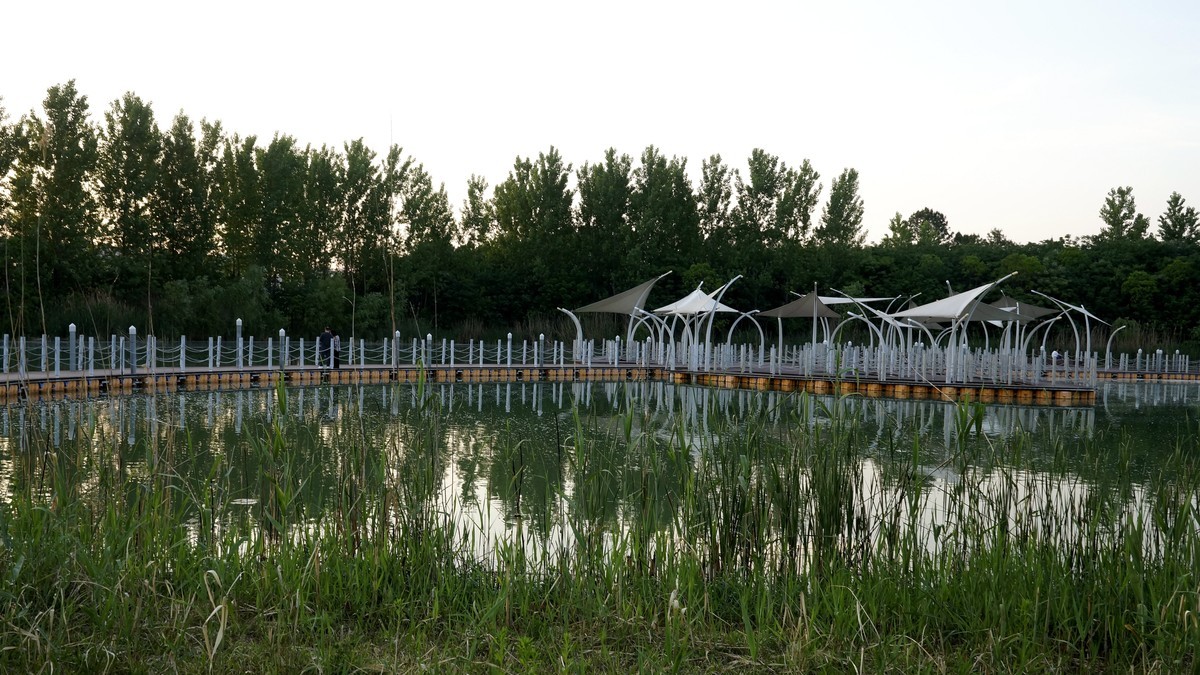 蚌埠龙湖公园东岸区（二）