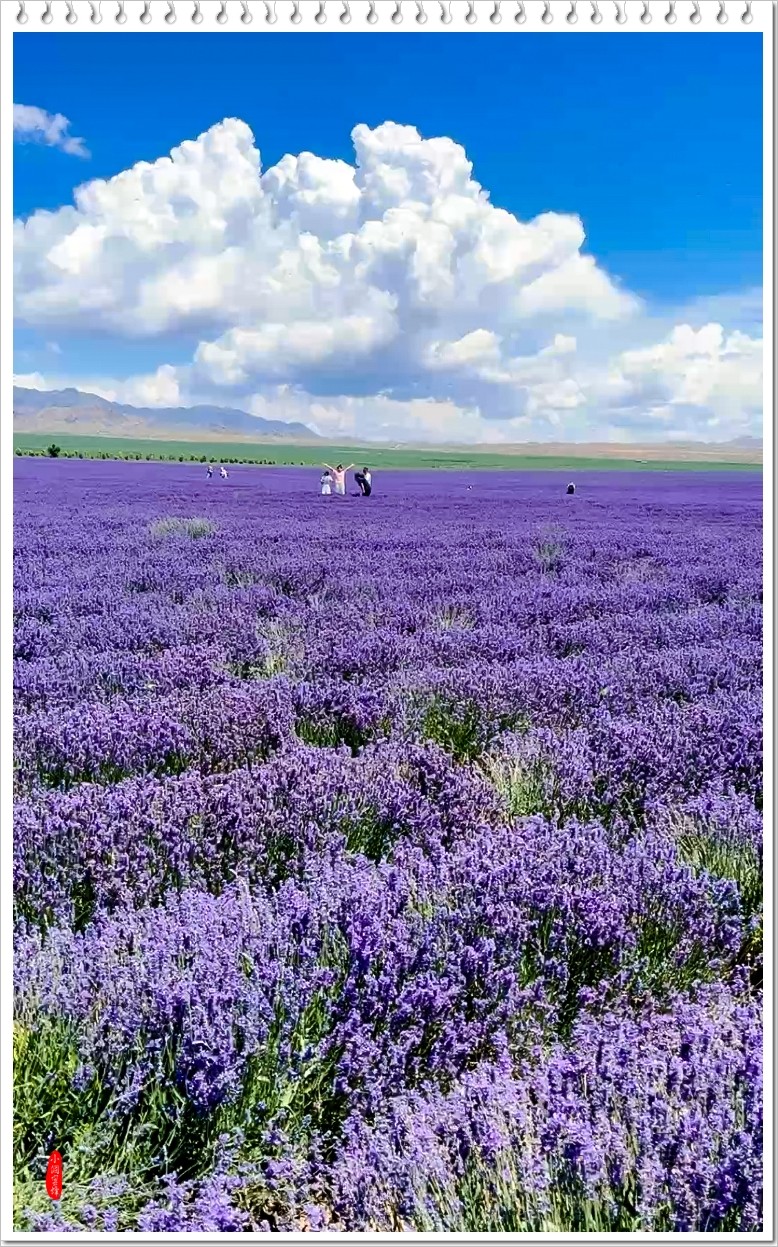 2023年-人文风光纪实抓拍集锦-688