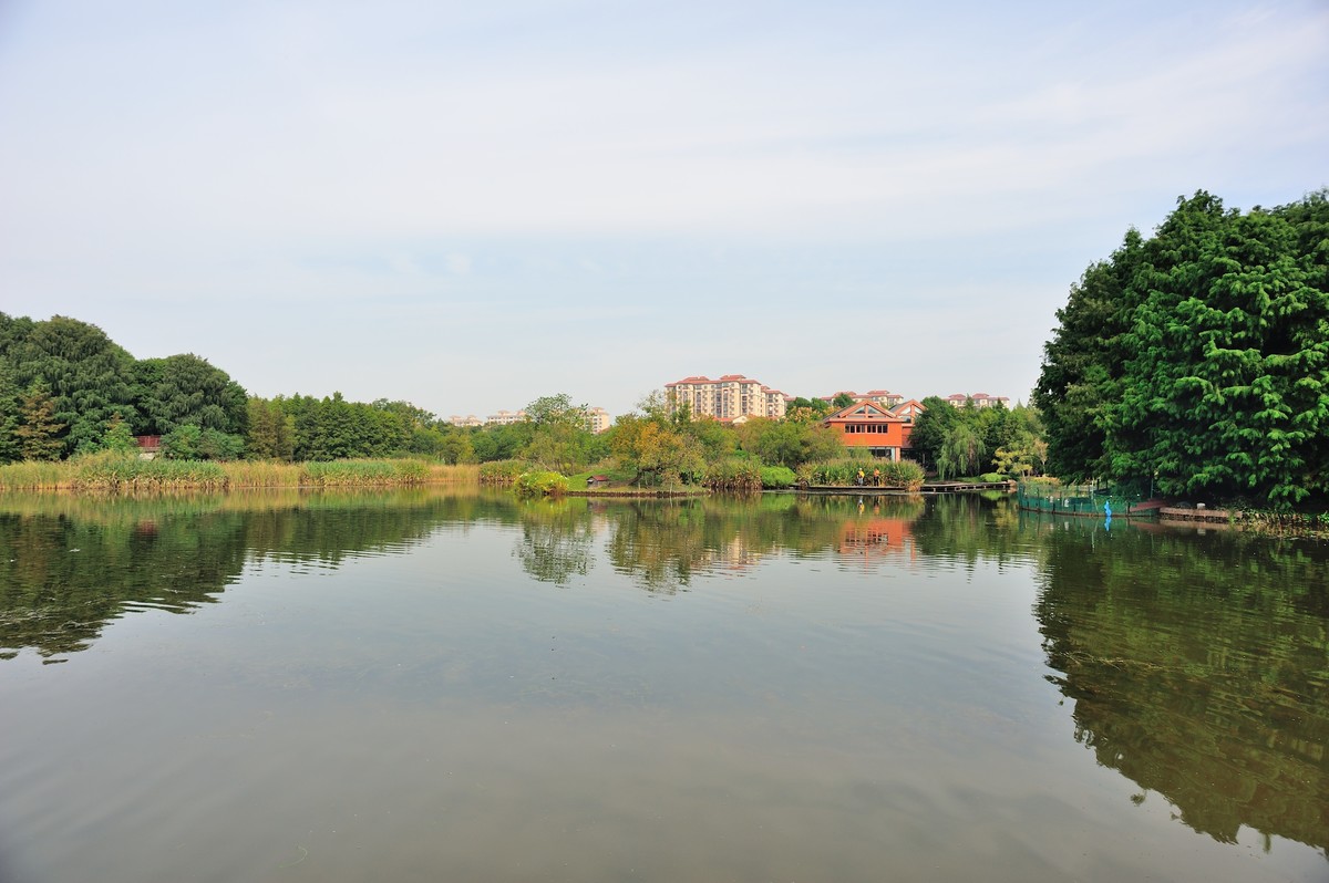 长兴岛湿地公园