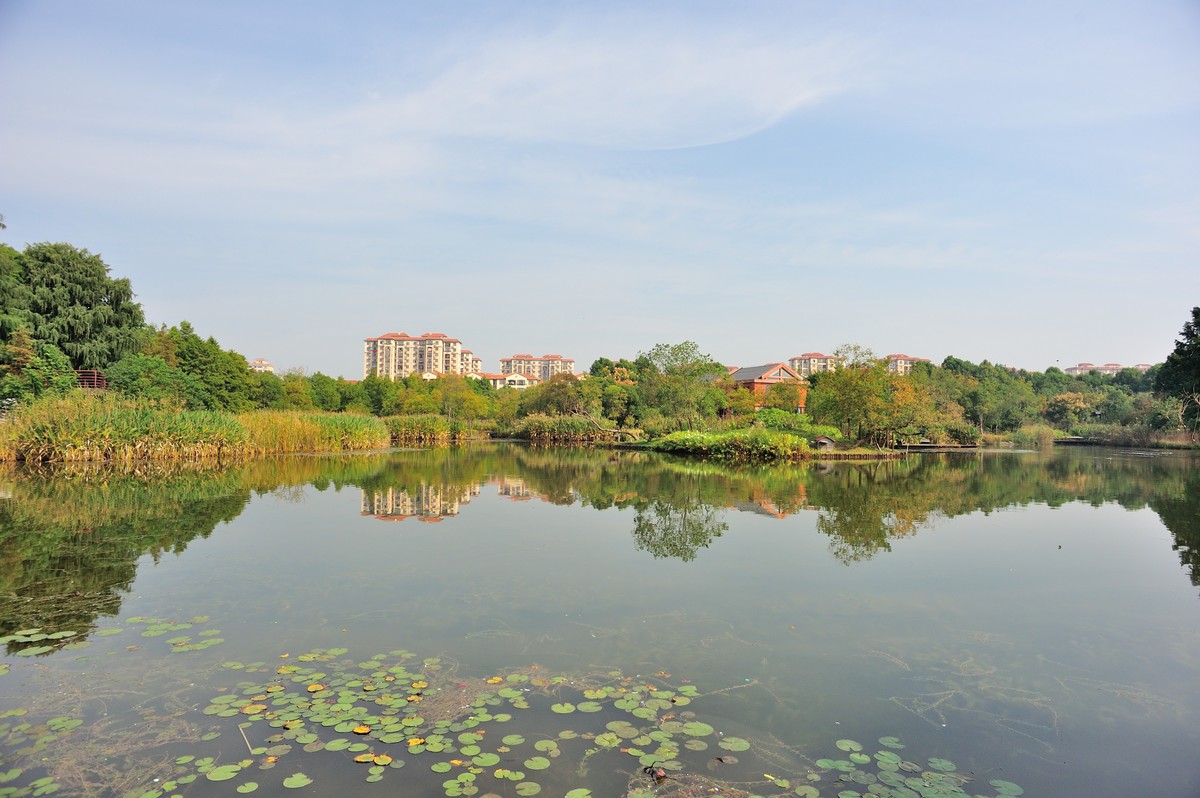 长兴岛湿地公园