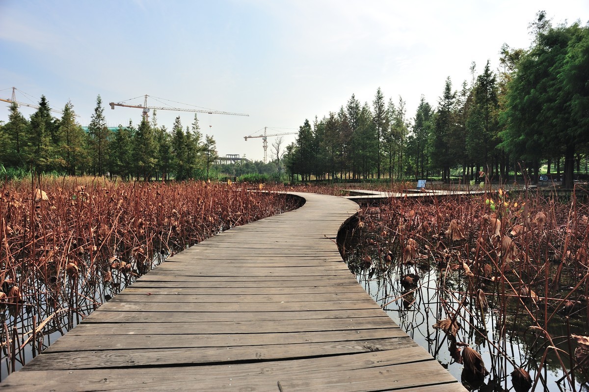 长兴岛湿地公园