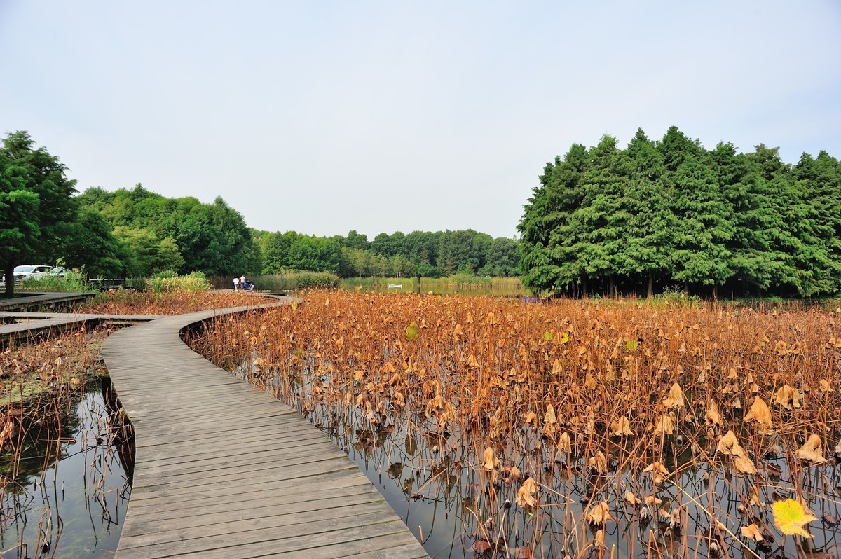 长兴岛湿地公园