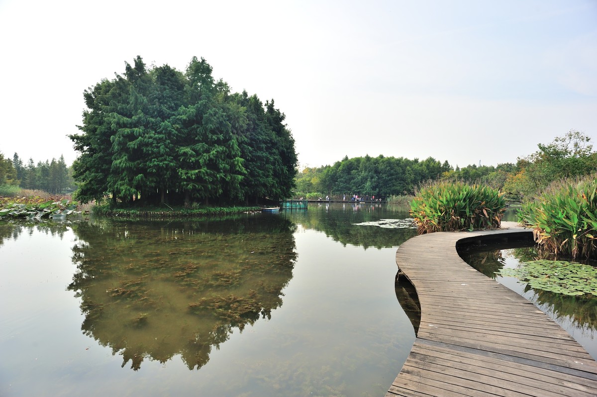 长兴岛湿地公园