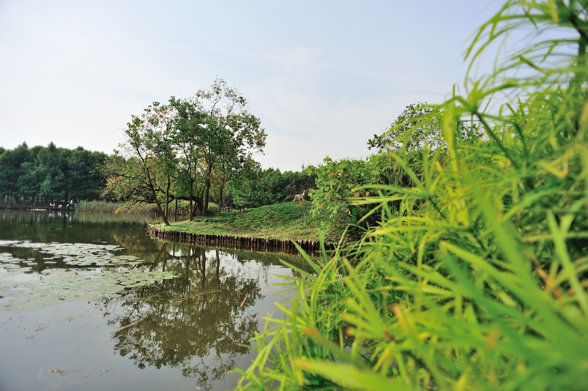 长兴岛湿地公园