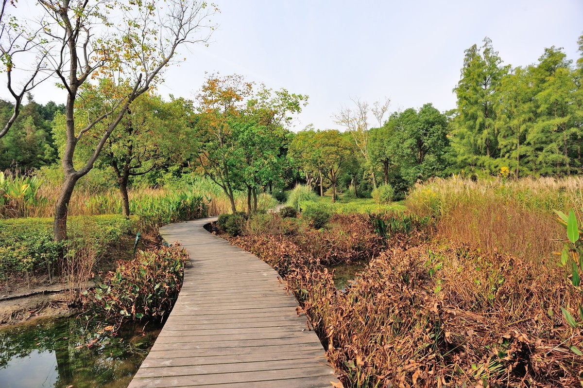 长兴岛湿地公园