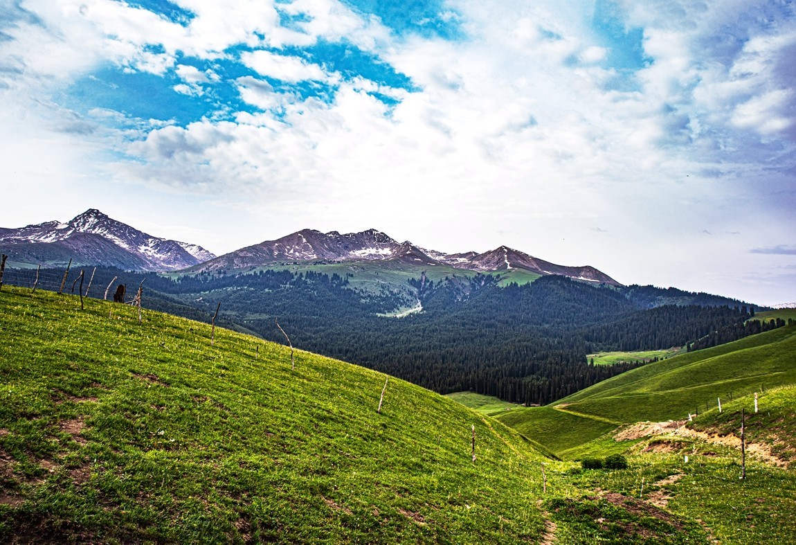 新疆行游--喀拉峻草原【15】