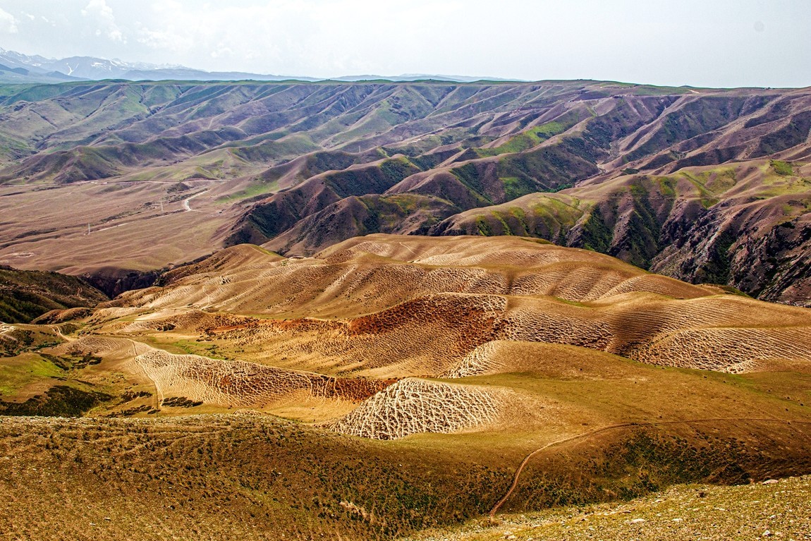 新疆行游--喀拉峻草原【15】