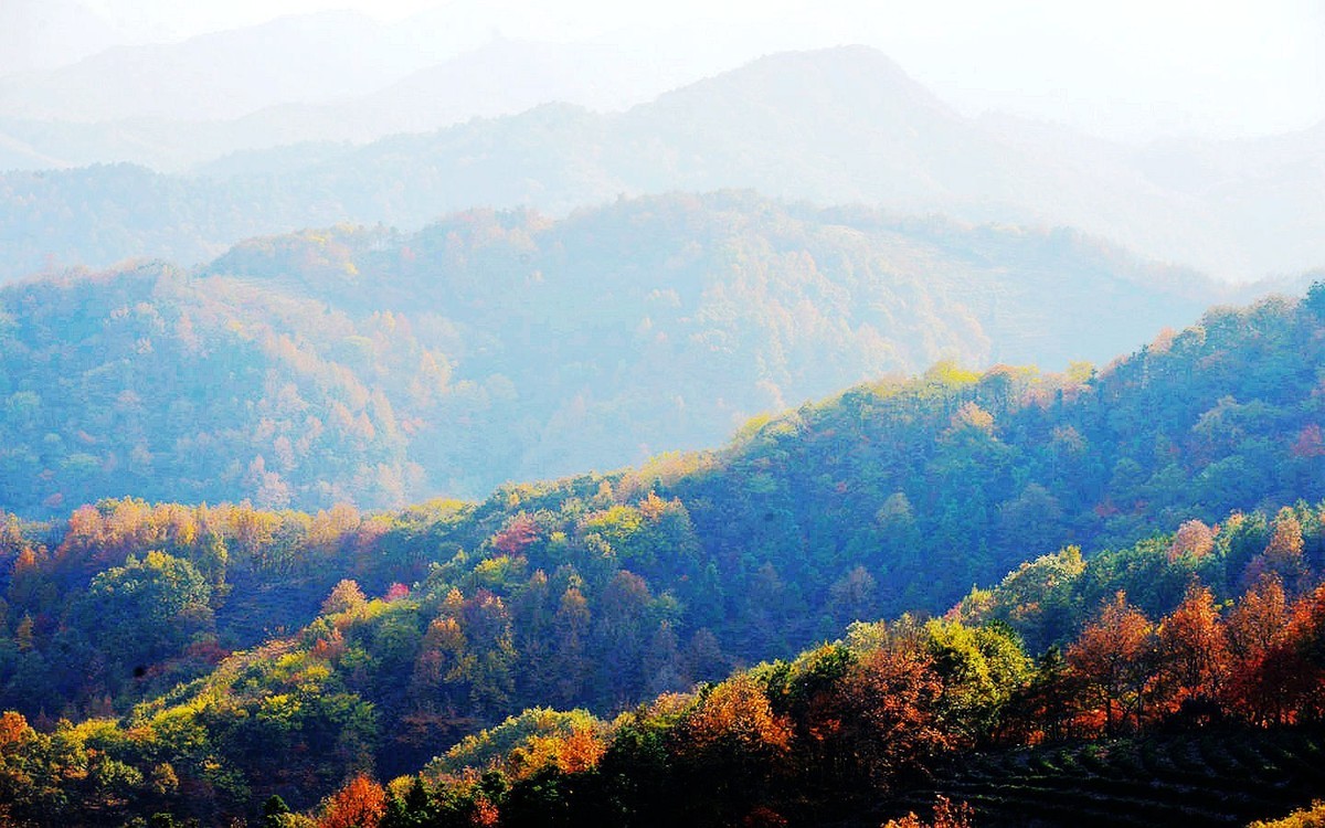 秋彩满山坡