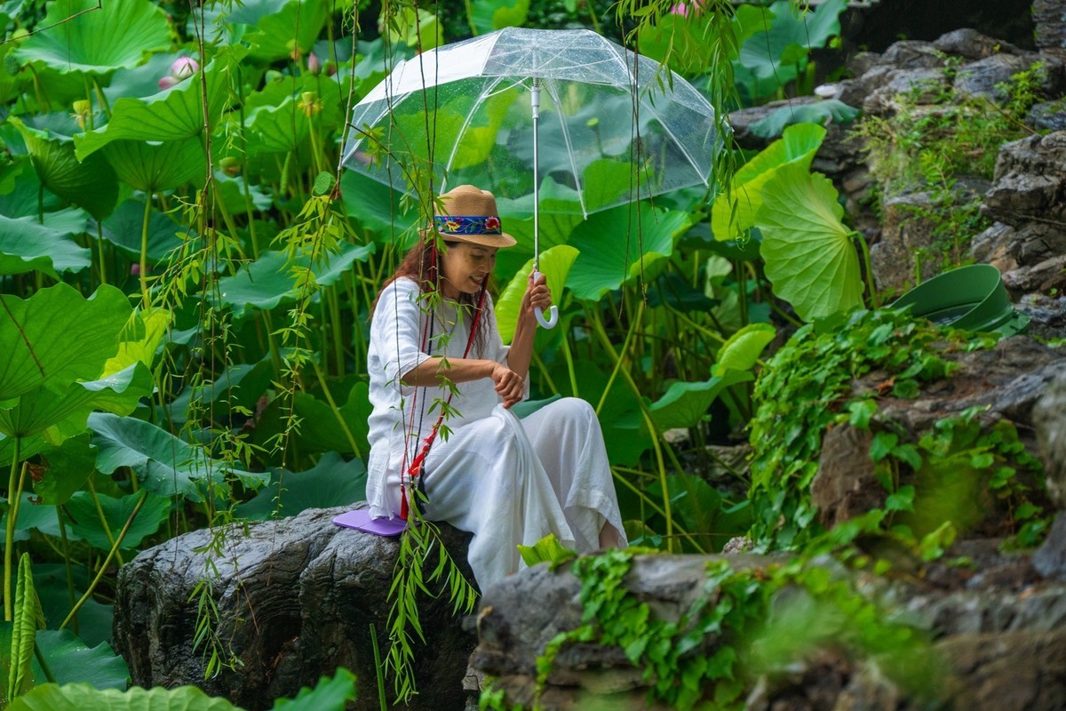 荷花飘香系列图片(11)雨后观荷(下)一女闹荷塘