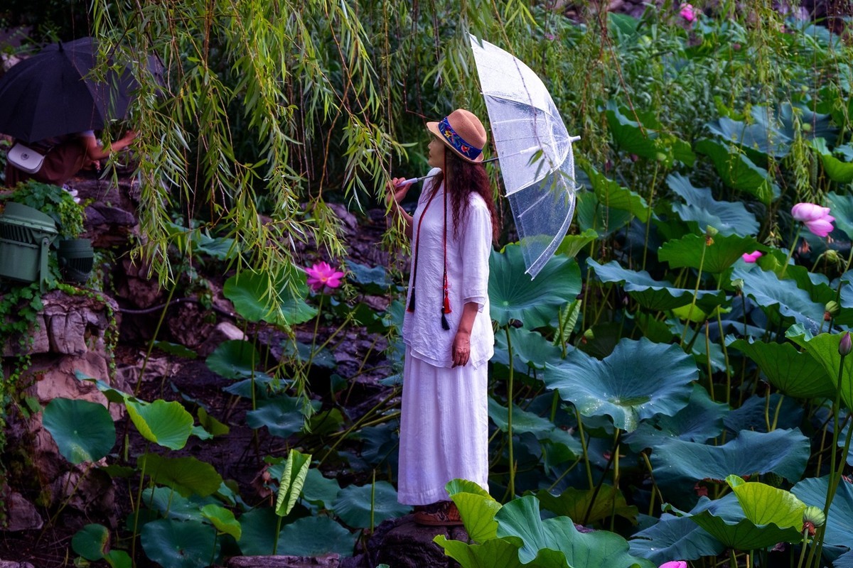 荷花飘香系列图片(11)雨后观荷(下)一女闹荷塘