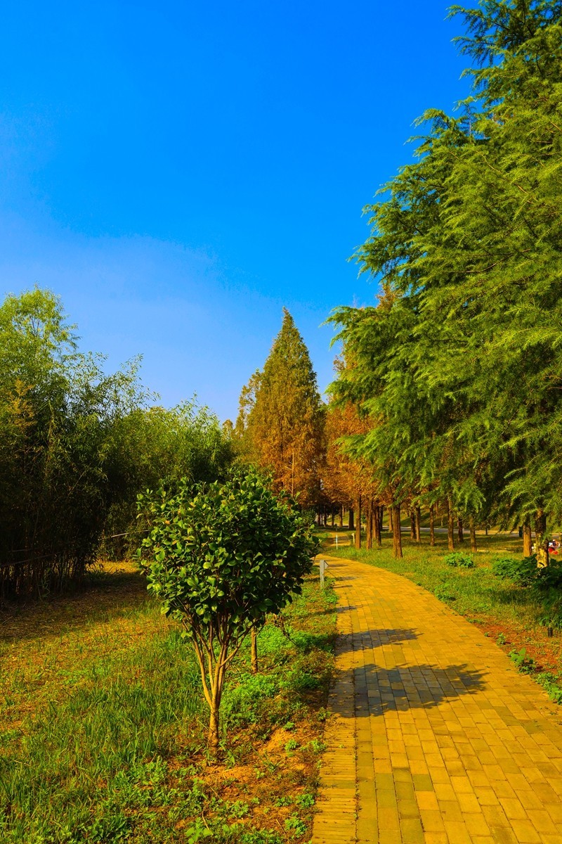 湘江芭溪州风景--2