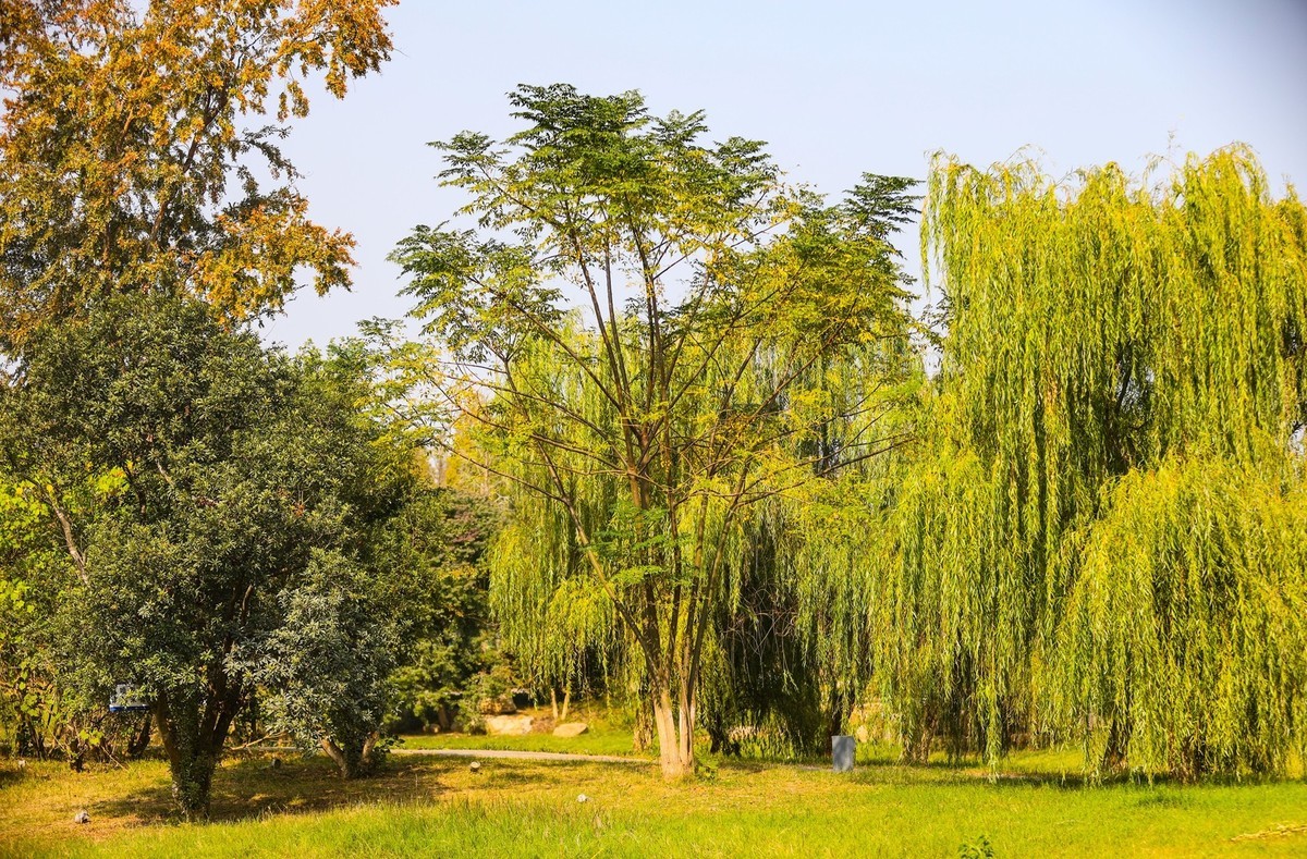 湘江芭溪州风景--1
