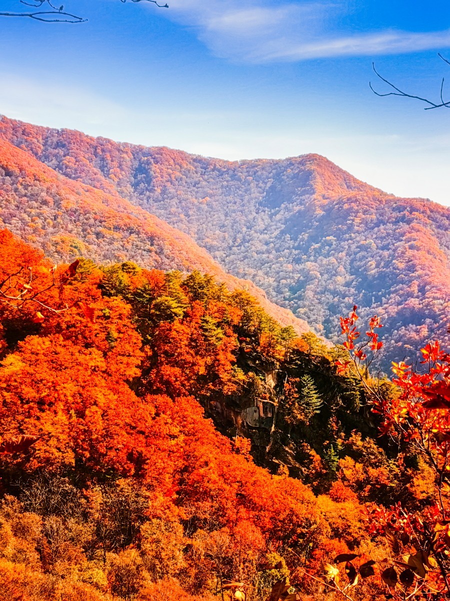 外出随拍（续215）.