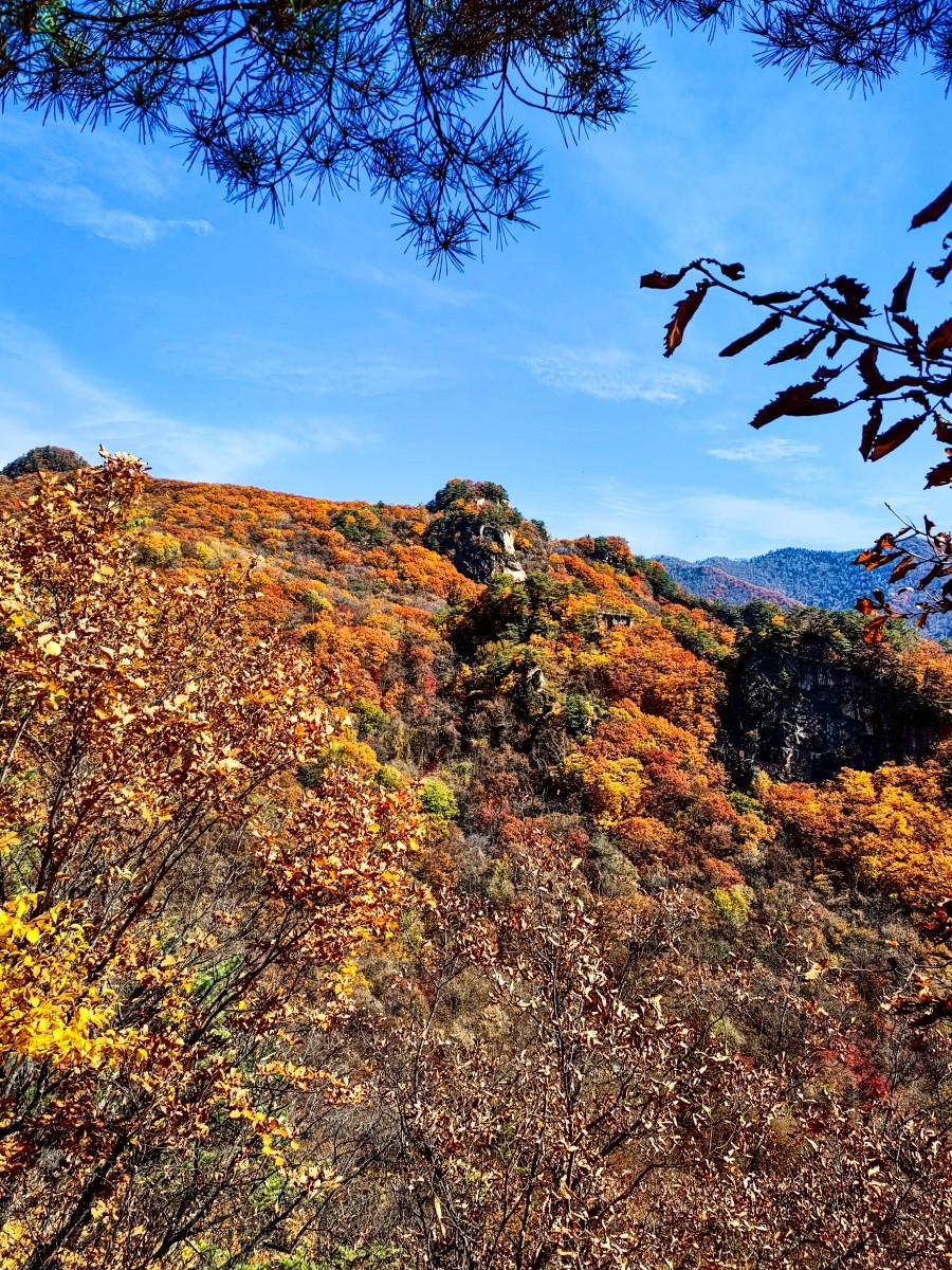 外出随拍（续215）.