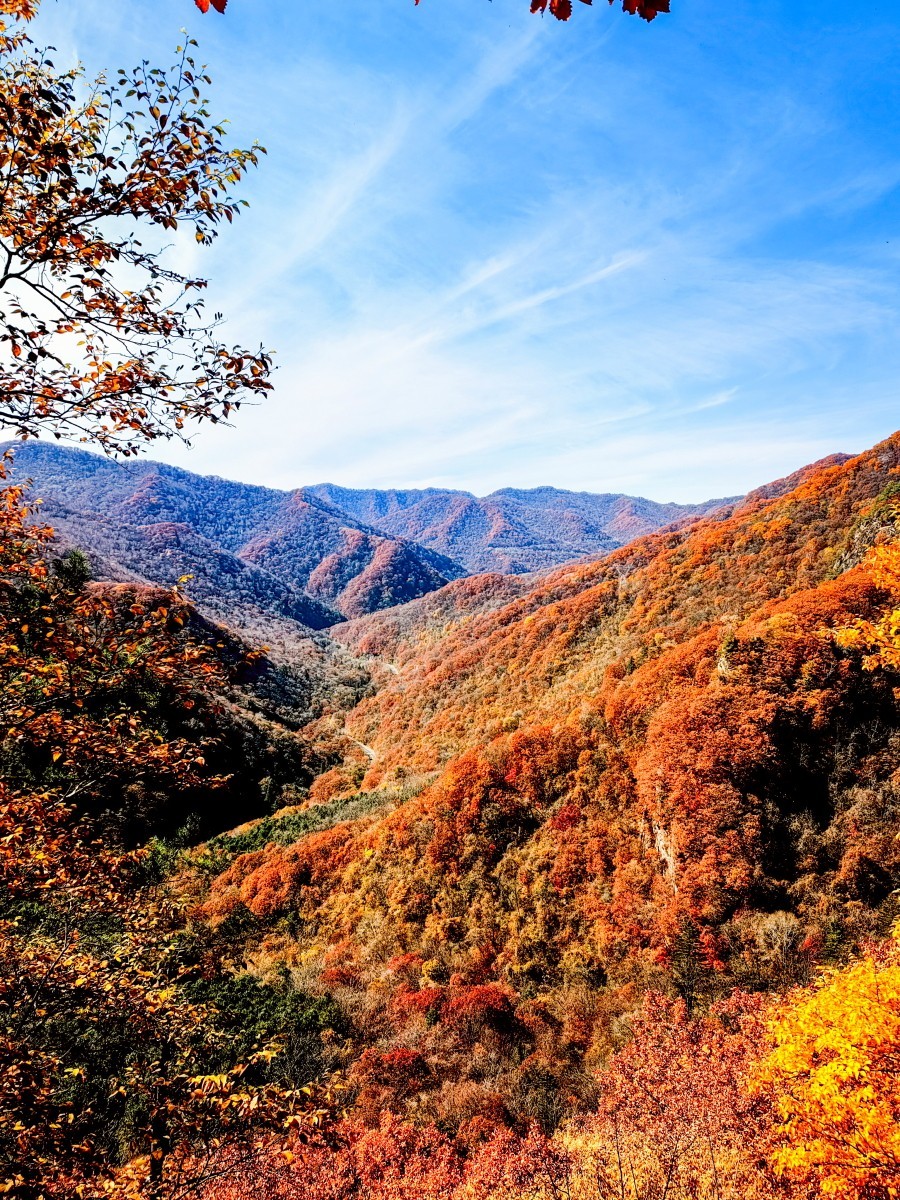 外出随拍（续215）.