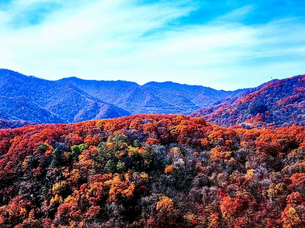 外出随拍（续215）.