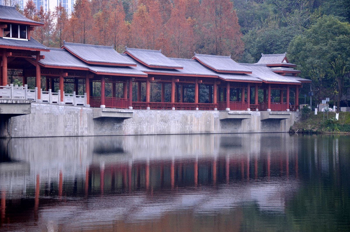 冬季彩云湖湿地公园(五)
