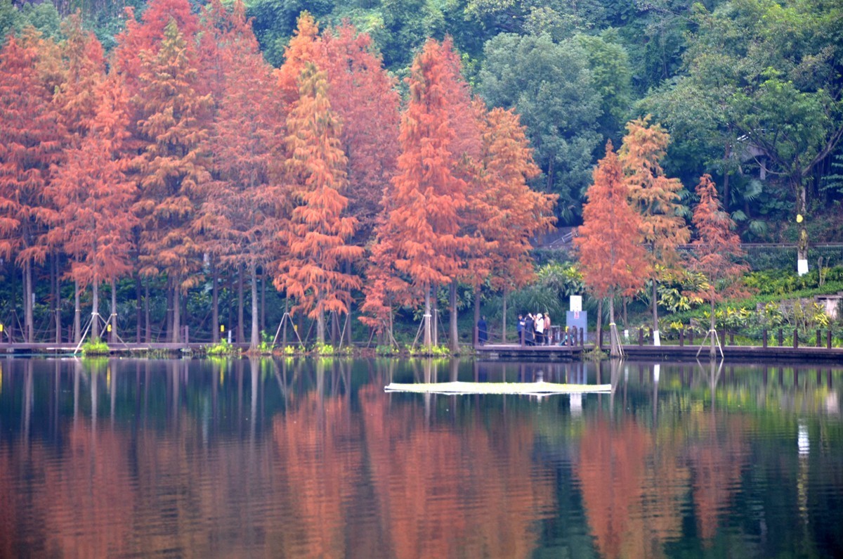 冬季彩云湖湿地公园(五)