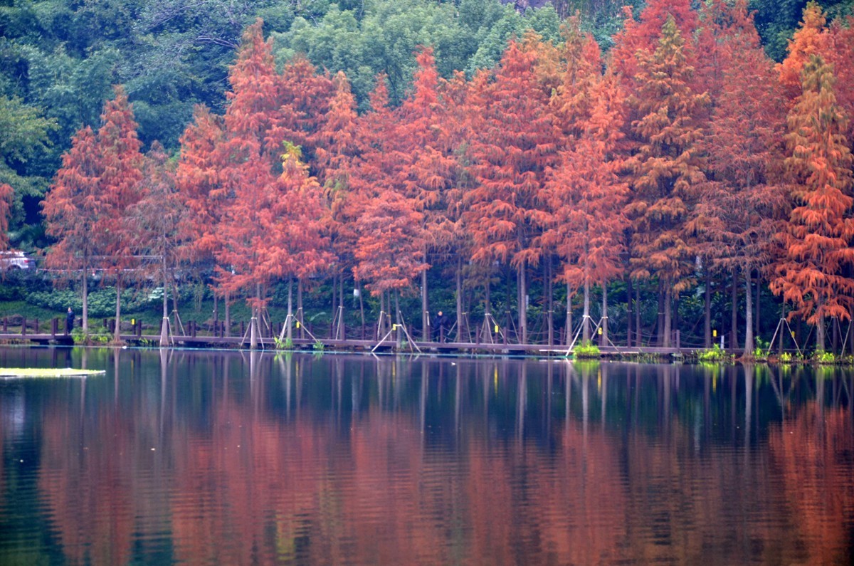 冬季彩云湖湿地公园(五)