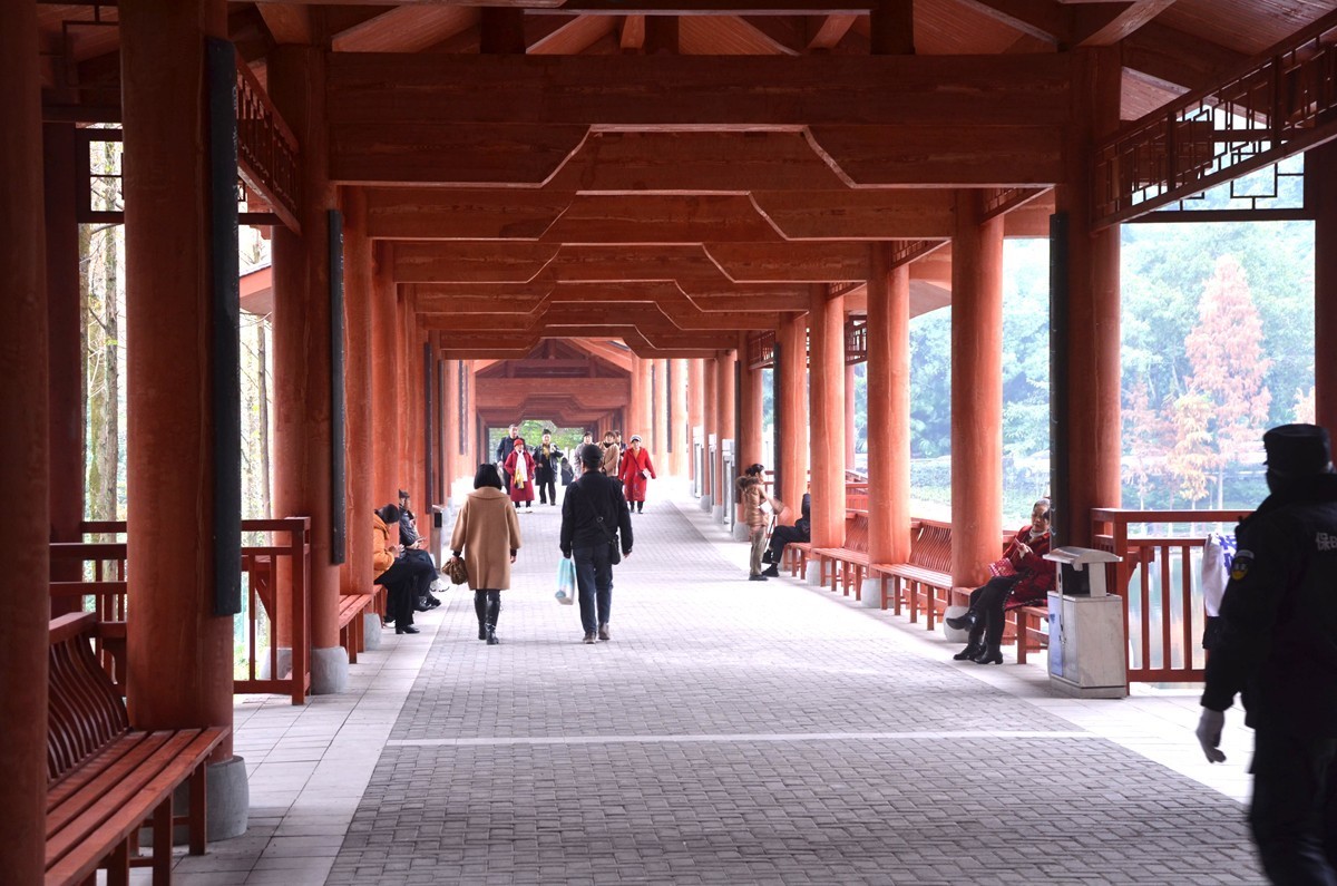 冬季彩云湖湿地公园(五)