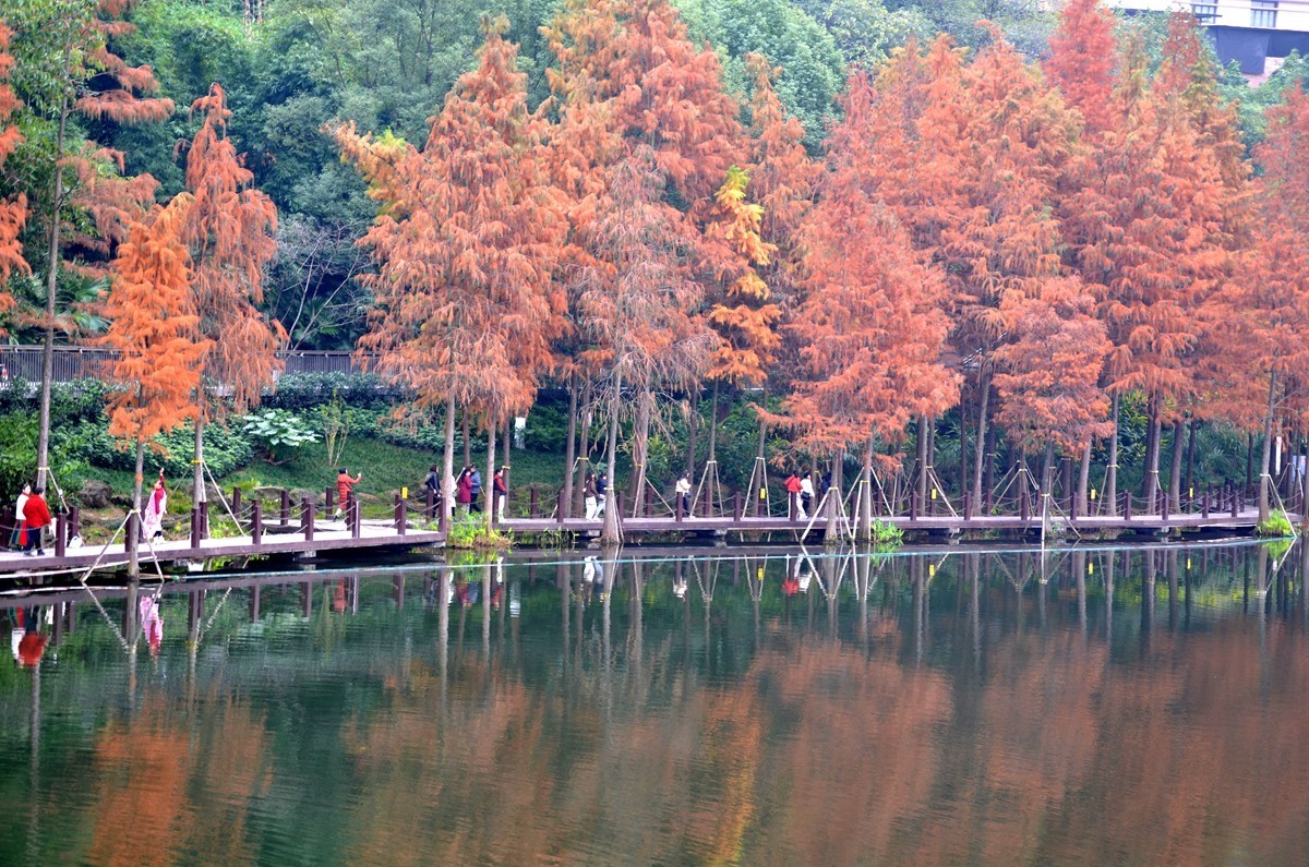 冬季彩云湖湿地公园(五)