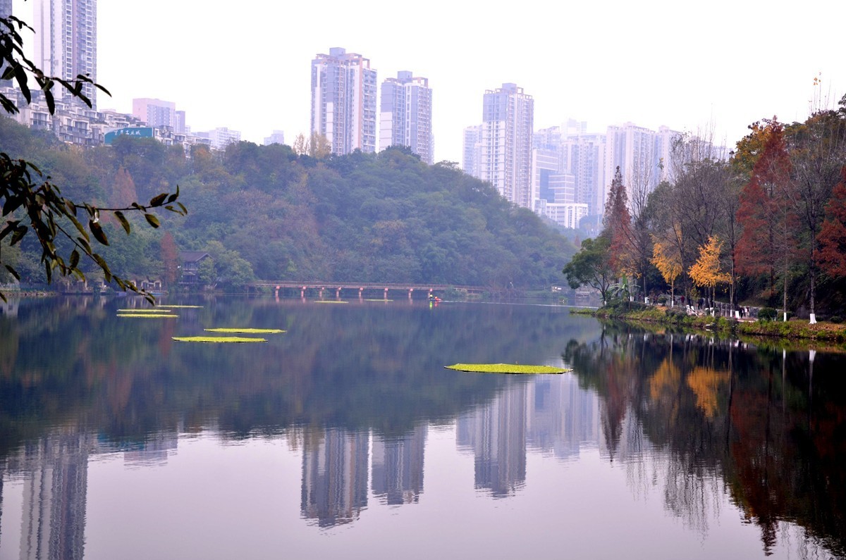 冬季彩云湖湿地公园(五)