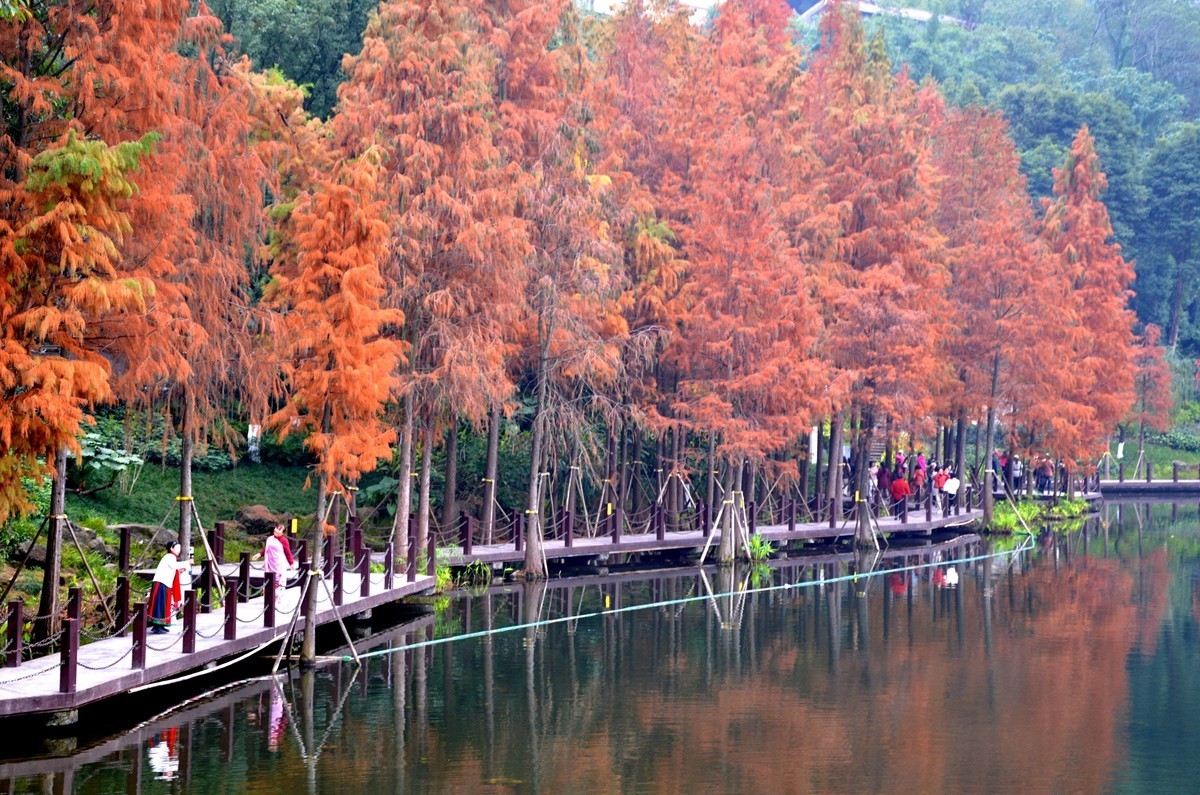 冬季彩云湖湿地公园(五)