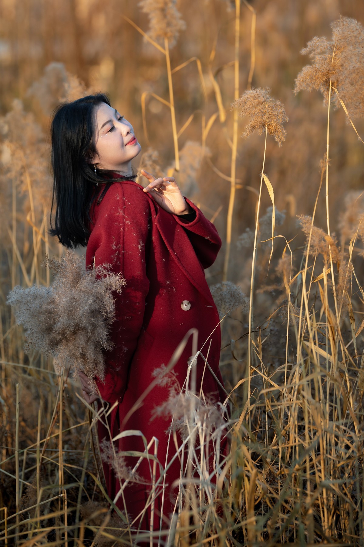 芦苇摄影拍摄方法教程，技巧大全