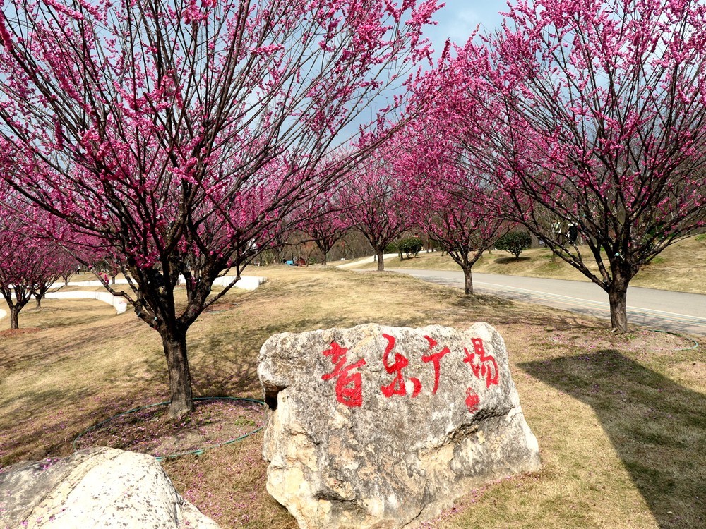 成都音乐百花谷