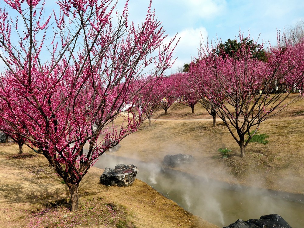 成都音乐百花谷