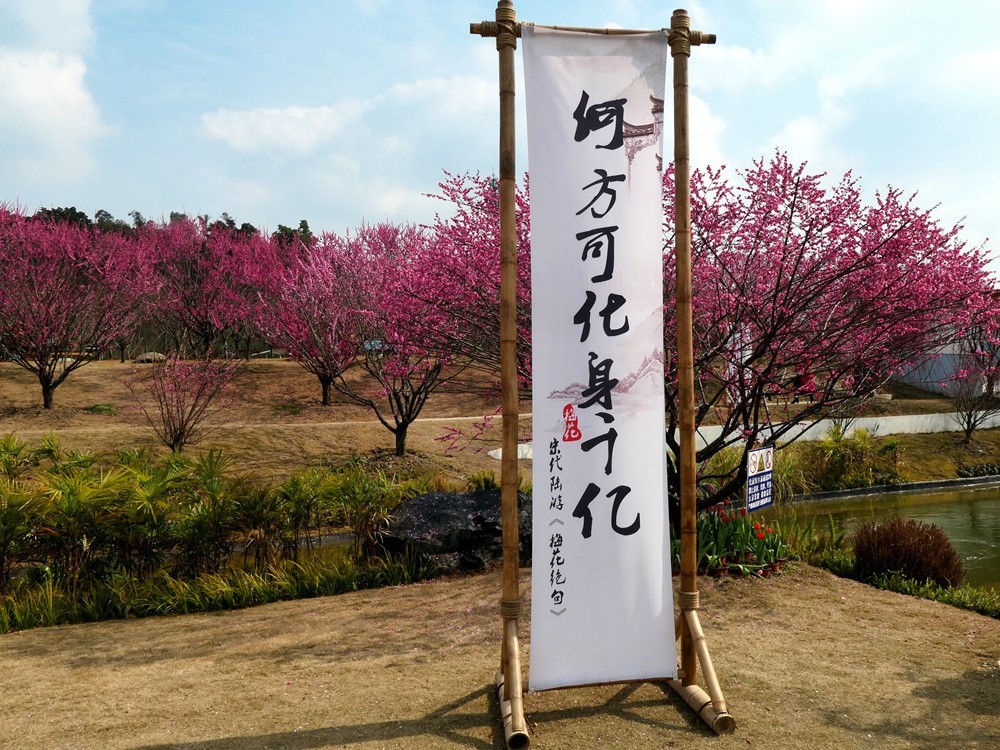 成都音乐百花谷