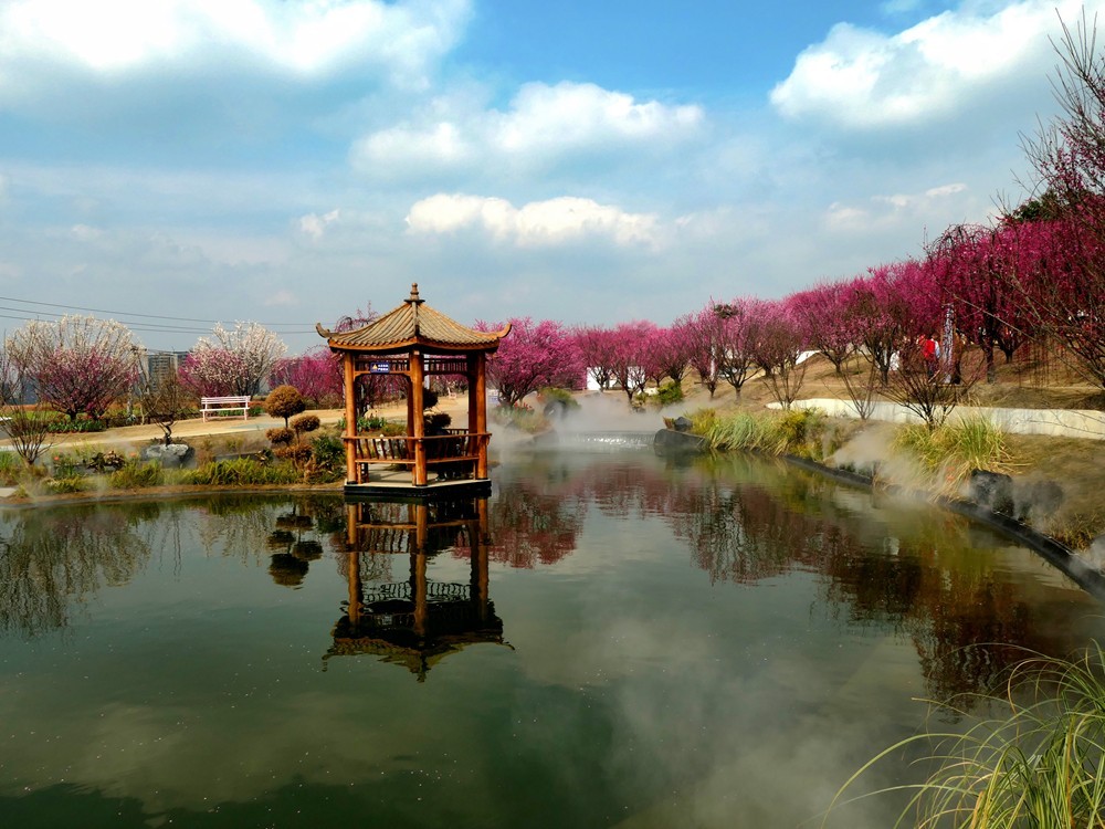 成都音乐百花谷