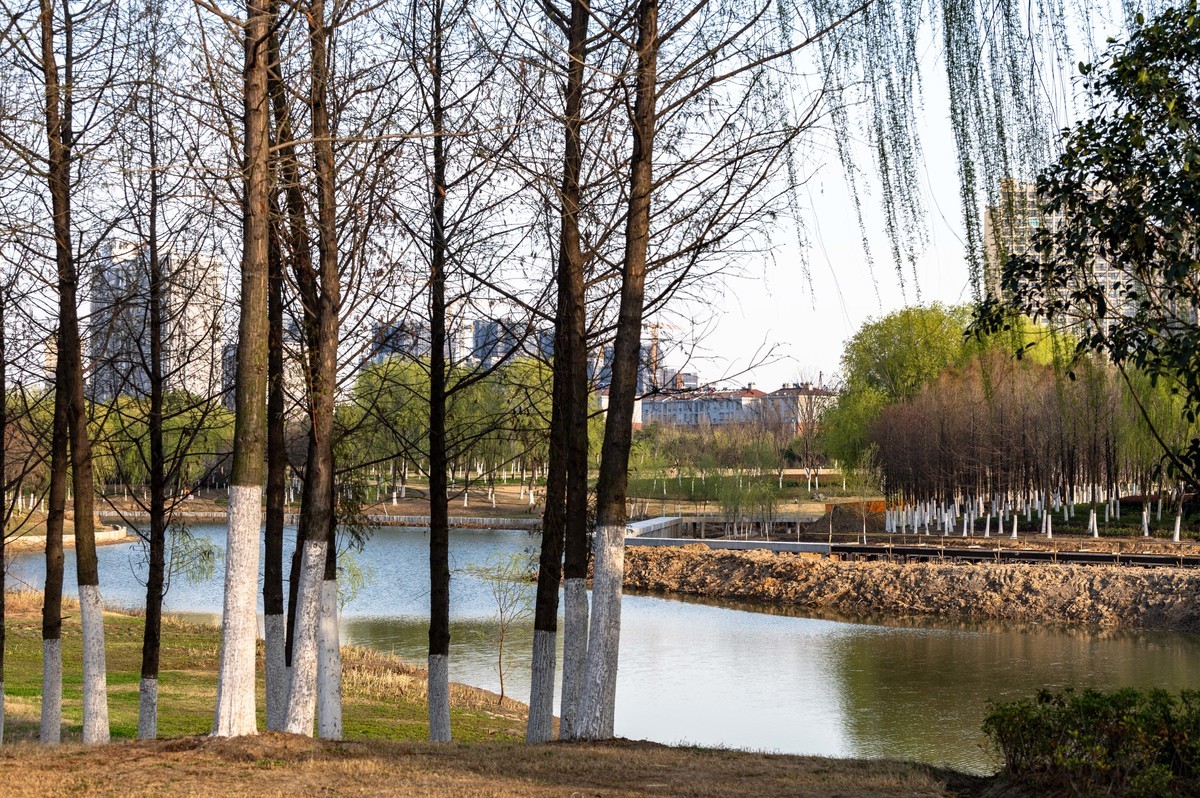 庐州印象（446）肥西滨河公园