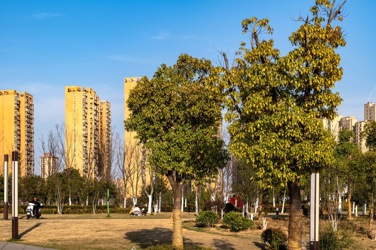 庐州印象（446）肥西滨河公园