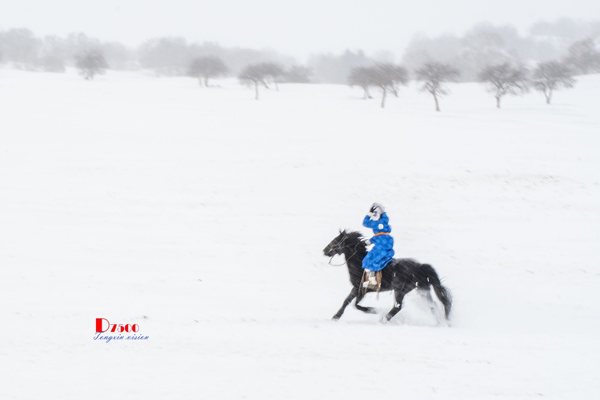 快乐的牧马人（48）