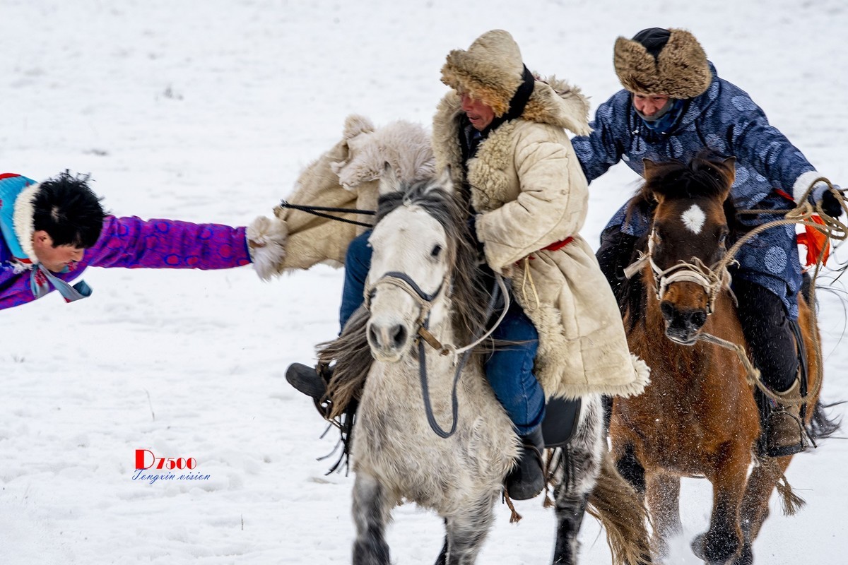 快乐的牧马人（48）