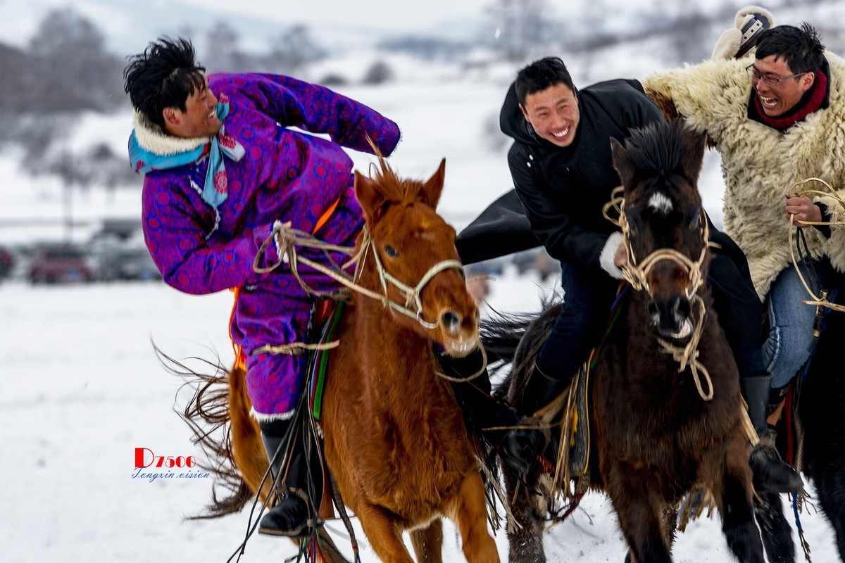 快乐的牧马人（48）