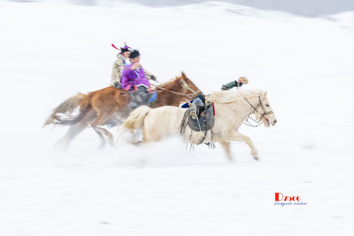 快乐的牧马人（48）