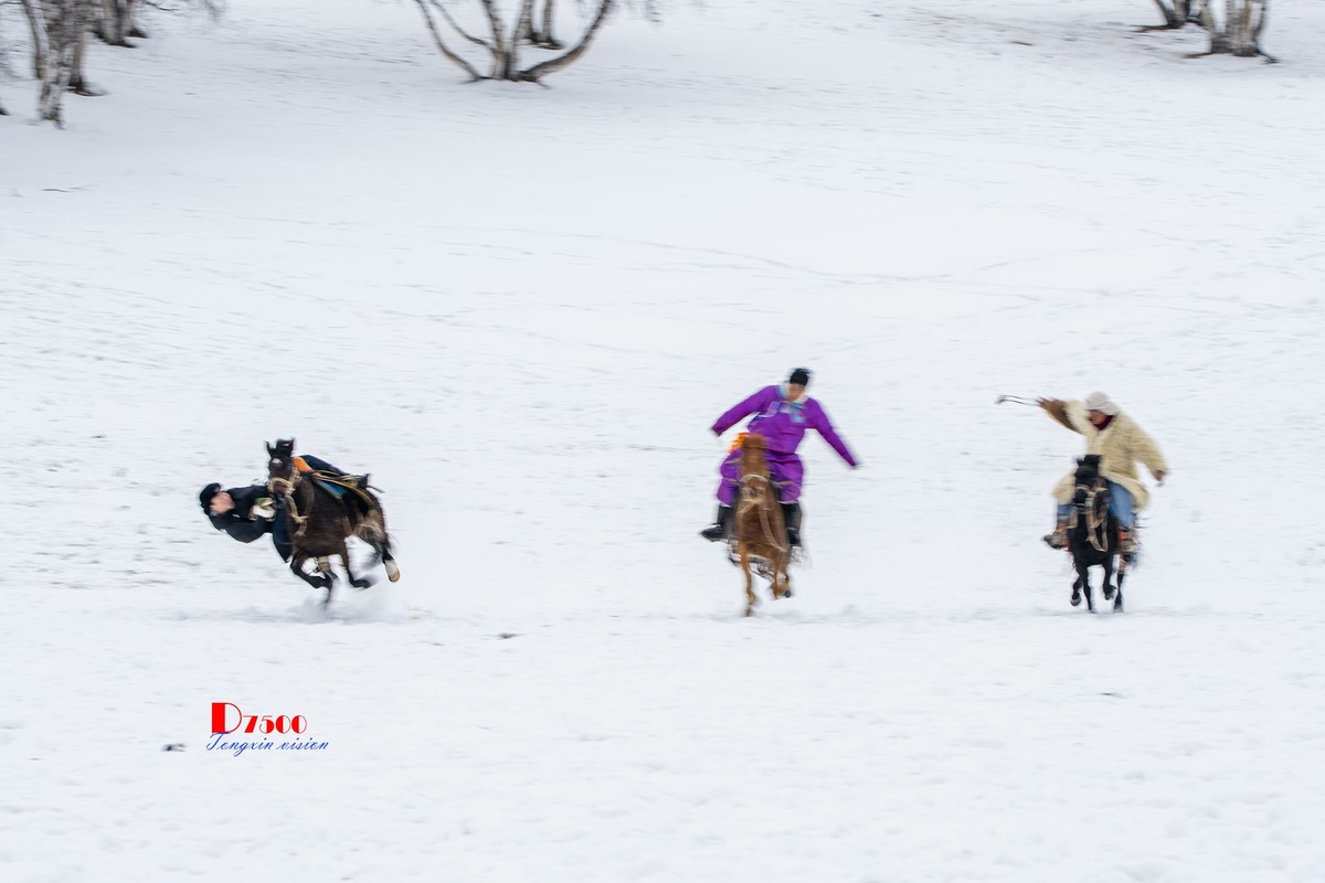 快乐的牧马人（48）