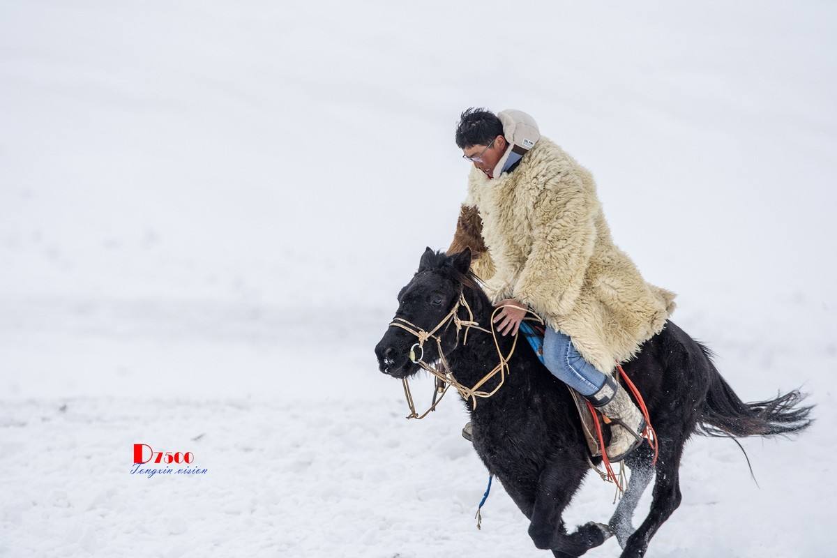 快乐的牧马人（48）