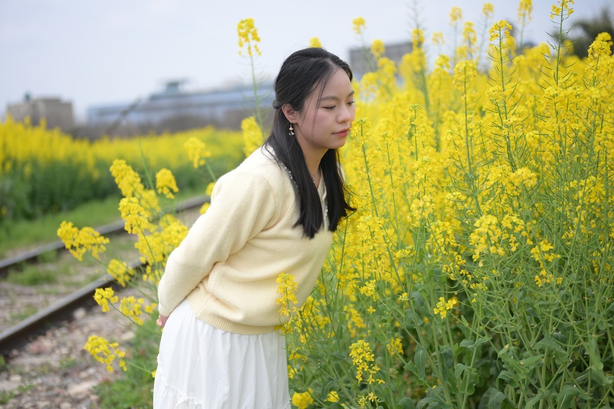 Z63+50mm 1.8S油菜花妹妹