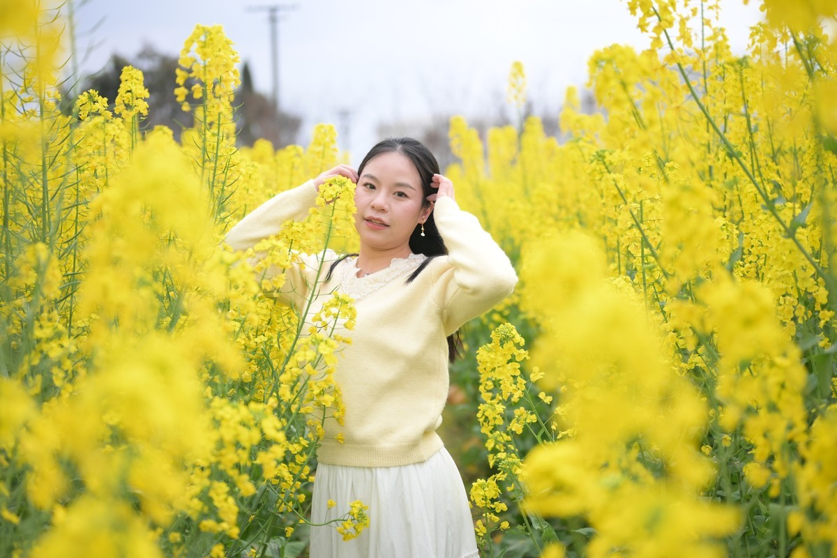 Z63+50mm 1.8S油菜花妹妹