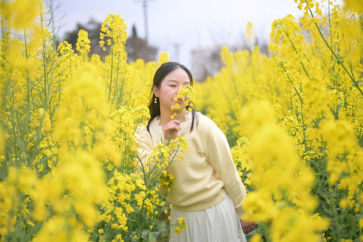 Z63+50mm 1.8S油菜花妹妹