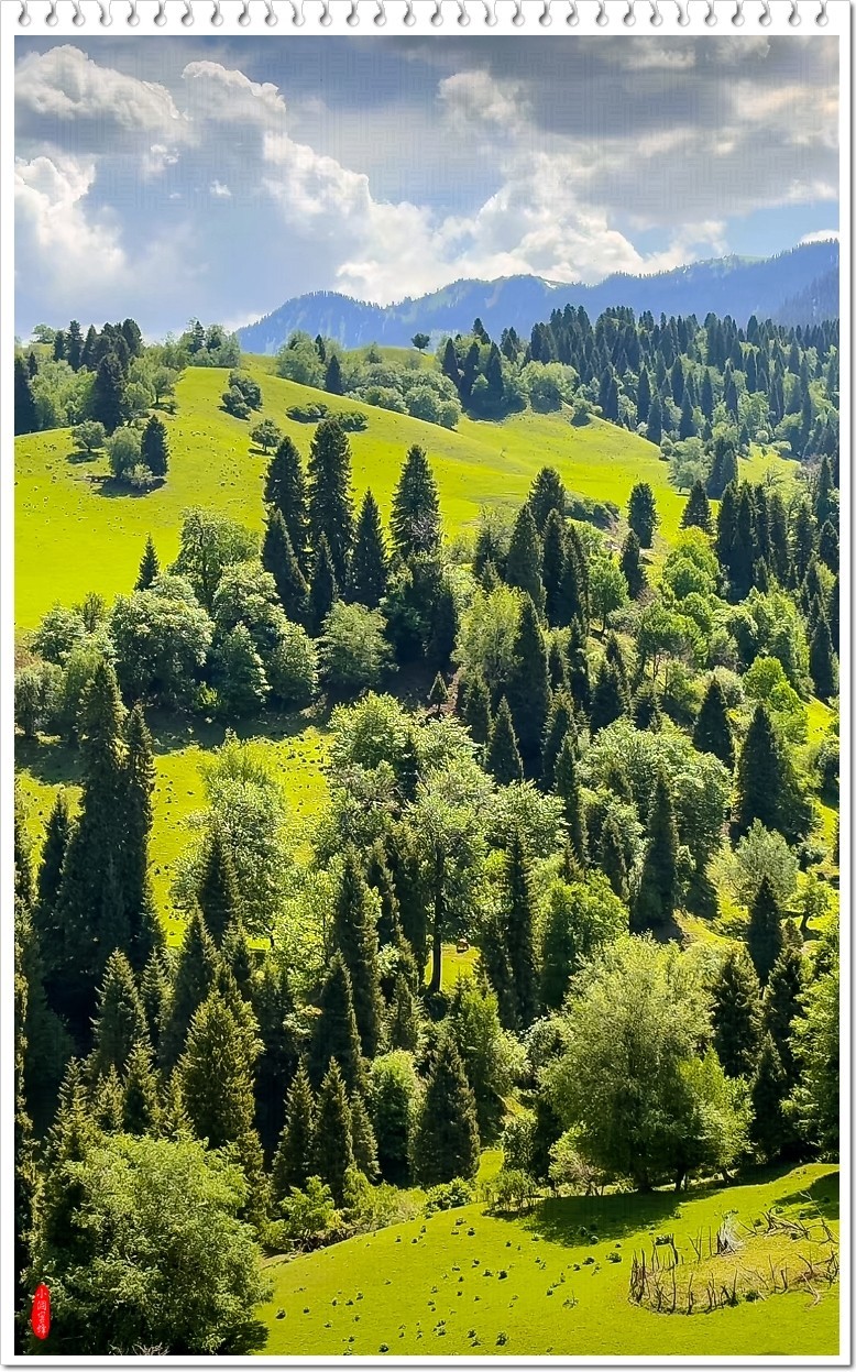 2025年-新疆风光纪实抓拍-0491