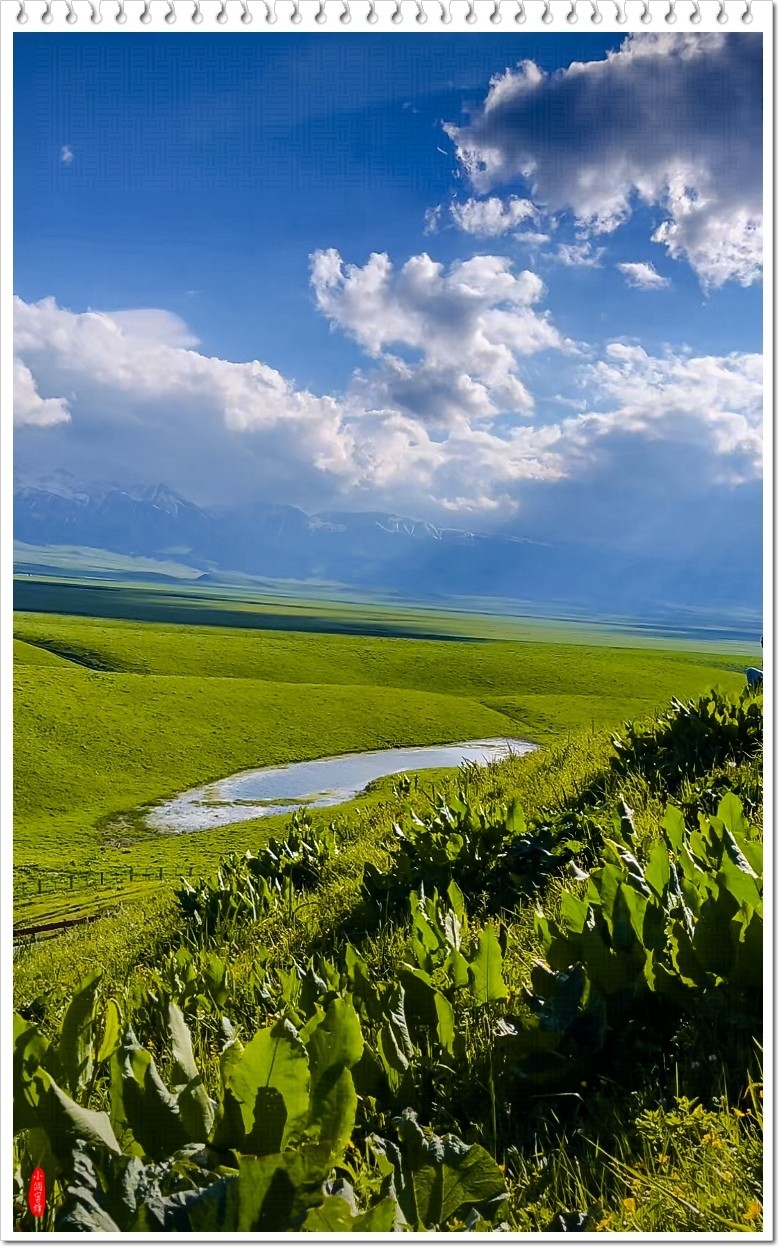 2025年-新疆风光纪实抓拍-0491