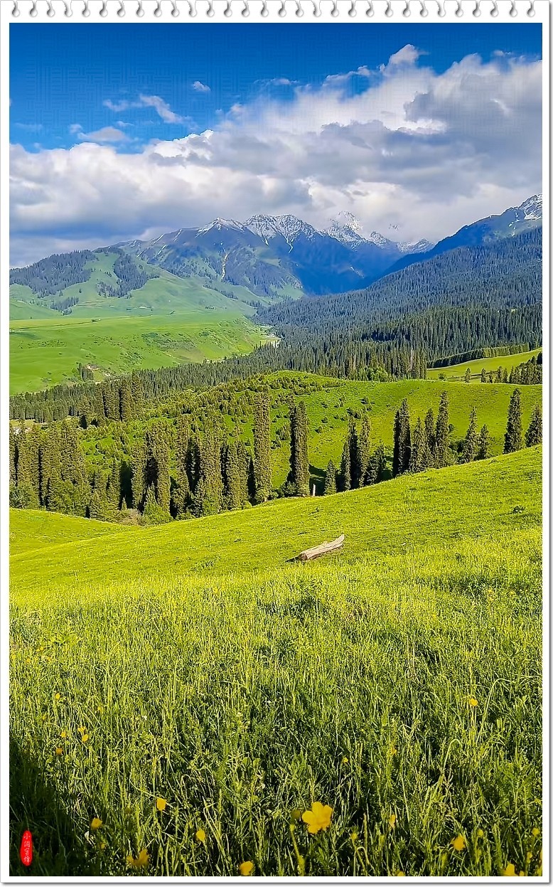 2025年-新疆风光纪实抓拍-0491