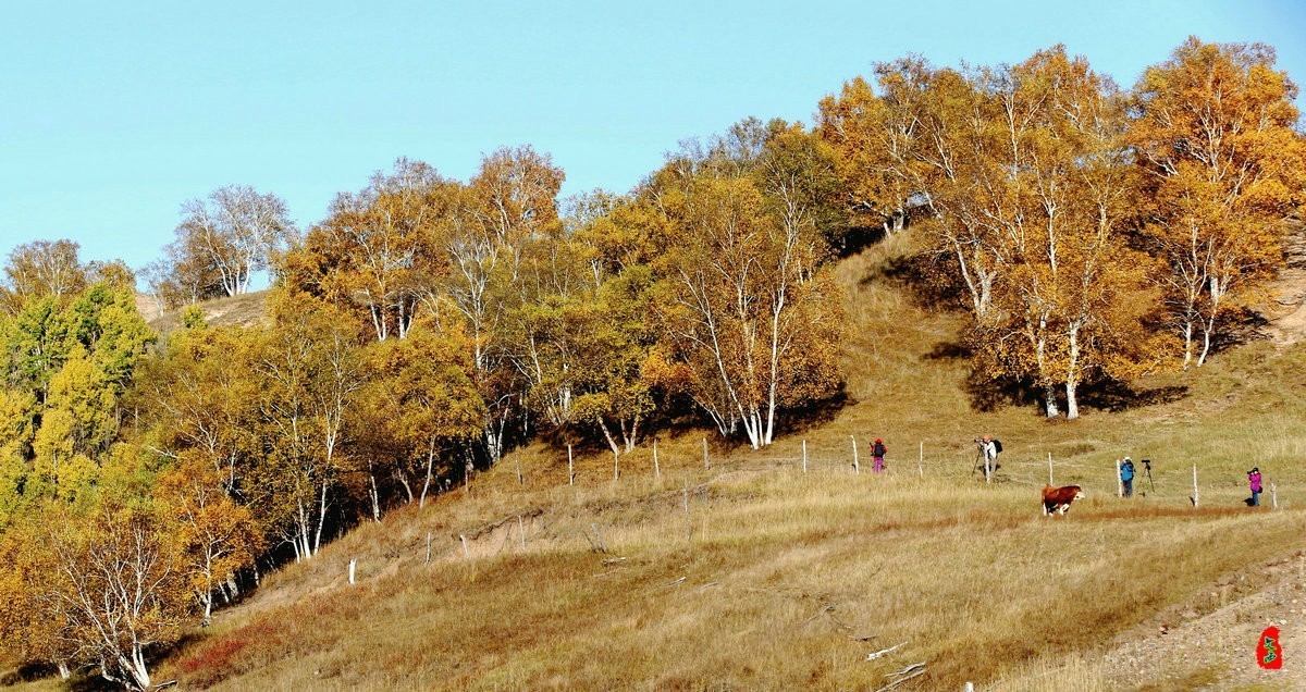 内蒙乌兰布统坝上盘龙大峡谷（二）